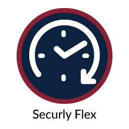 Securly Flex
